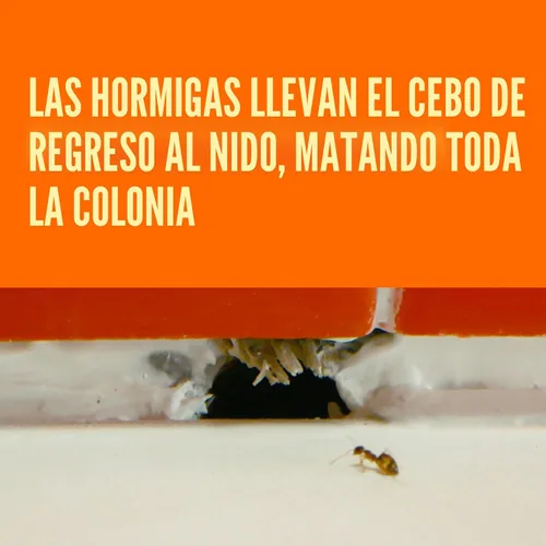 Miniatura 3 de TERRO T300 cebos líquidos para hormigas, 6 unidades, 2