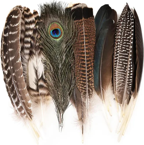 Miniatura 12 de iHUFeather 120 plumas de faisán naturales a granel, 10 estilos de plumas mixtas para manualidades, manualidades, sombreros, arreglos florales, boda