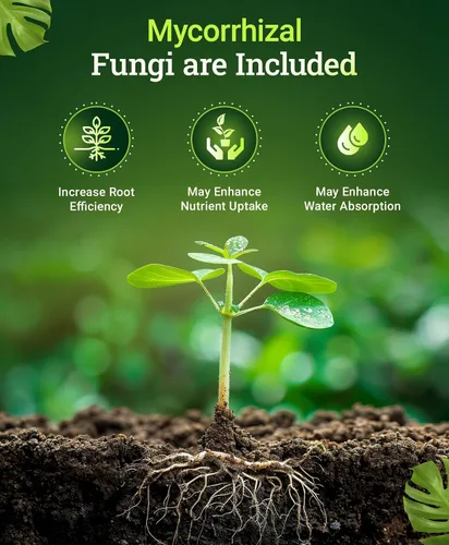 Miniatura 3 de FoxFarm Happy Frog Fertilizante de harina de huesos al vapor – Fertilizante de fósforo de cribado fino con calcio y hongos micorrícicos, apoya