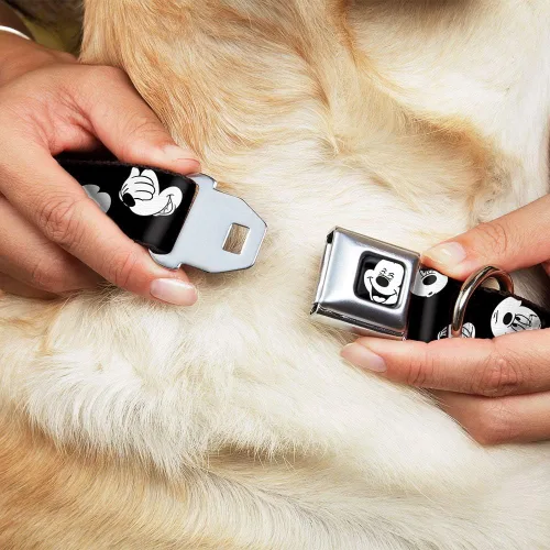 Miniatura 8 de Buckle-Down Collar de perro con hebilla de cinturón de seguridad, dálmatas para correr, patas, negro, gris, blanco, negro, 1 pulgada de ancho, se
