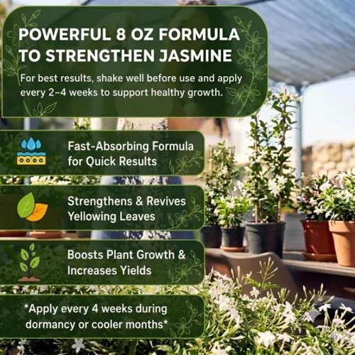 Miniatura 5 de Fertilizante profesional de jazmín líquido 3-1-2 concentrado de 8 onzas, fertilizante de plantas de jazmín premium para interiores y exteriores