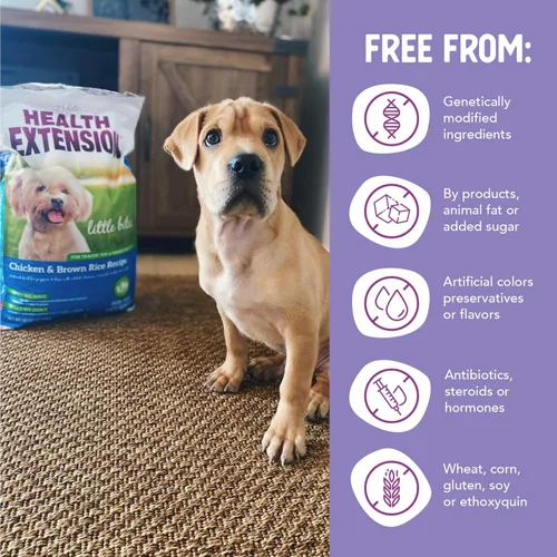 Miniatura 5 de Health Extension Little Bites Alimento Seco para Perros para Razas Toy y Pequeñas, Receta de Pollo y Arroz Integral, con Probióticos