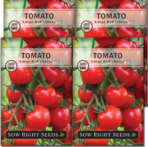 Miniatura 9 de Sow Right Seeds - Semillas grandes de tomate cereza roja para plantar - Paquete de reliquia sin OMG con instrucciones para plantar un huerto casero