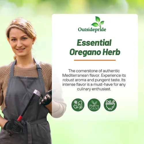 Miniatura 5 de Outsidepride Semillas de orégano comunes - Semillas de hierbas perennes, aromáticas y fáciles de cultivar para uso culinario, sabrosos jardines