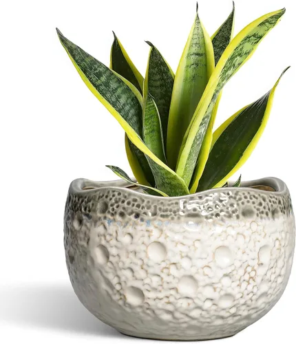 Miniatura 41 de Macetas de cerámica de 4 pulgadas para plantas con orificio de drenaje y tapón, macetas redondas para plantas de interior y exterior, macetas