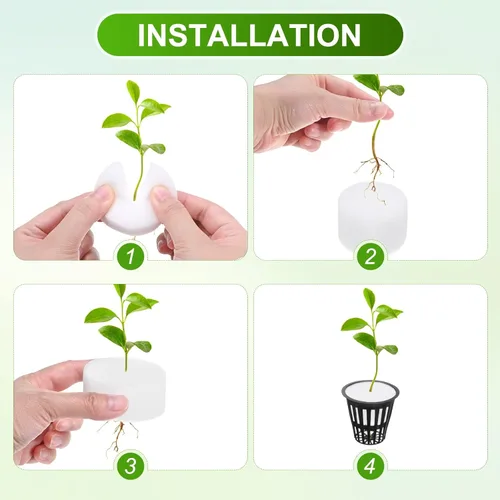 Miniatura 4 de M METERXITY Paquete de 50 esponjas hidropónicas, esponjas cilíndricas de medio de cultivo de 1.97 pulgadas para plantar herramientas de Blanco