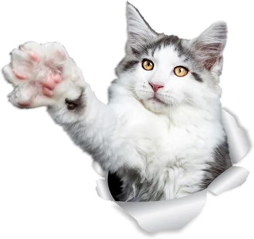 Miniatura 7 de Winston & Bear Calcomanías de pared con diseño de gatito y gatito rojo de Maine Coon - Paquete de 2 calcomanías de inodoro de gato naranja Maine