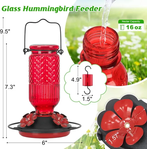 Miniatura 2 de FEED GARDEN Comedero de vidrio para colibríes para colgar al aire libre, comedero de colibríes de 16 onzas con 4 puertos de alimentación con Rojo