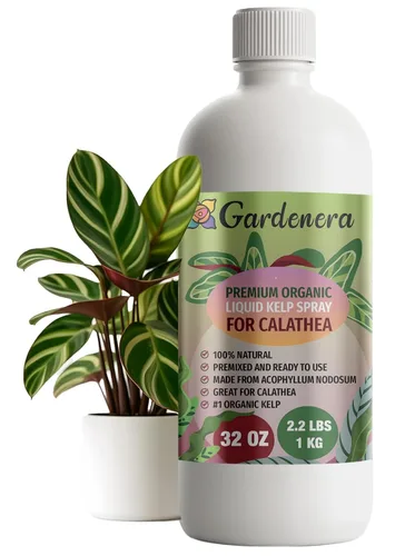 Miniatura 77 de GARDENERA Superalimento orgánico prémium de algas marinas y algas marinas para plantas AGLAONEMA, 8 onzas, concentrado de fertilizante líquido