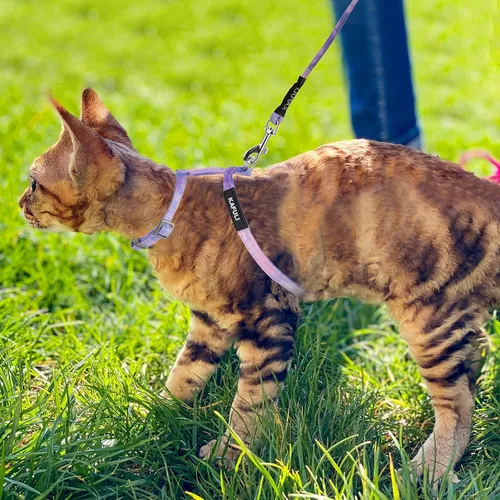 Miniatura 7 de TIESOME Juego de arnés y correa para gato, arnés ajustable degradado para gatito, arnés a prueba de escapes con correa para gatito al aire libre