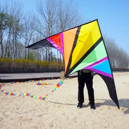 besra 110 inch arco iris Delta Cometa con Windsock & 10 m larga cola para niños y adultos divertido Deportes al aire última intervensión para playa