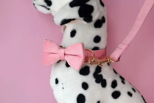 Miniatura 6 de Collar para perro personalizado con hebilla metálica - Collares para mascotas personalizados con nombre y número de teléfono (Estilo Terciopelo1)