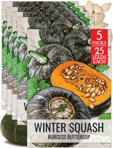 Miniatura 15 de Seed Needs Semillas de calabacín para plantar calabaza de verano Black Beauty, sin OMG, reliquia y sin tratar, rendimientos prolíficos de deliciosos