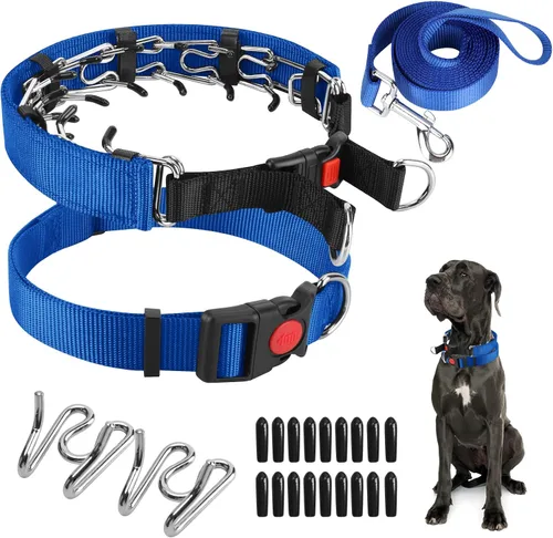 Miniatura 28 de Collar de entrenamiento de puntas con puntas cómodas y hebilla de cierre rápido – Collar de pellizco para perro con cubierta de nailon