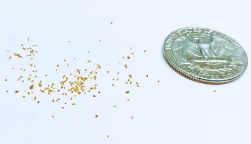 Miniatura 2 de Semillas suculentas exóticas raras y auténticas con garantía de germinación. Cosecha reciente con calidad premium. Mini plantas de piedra vivas