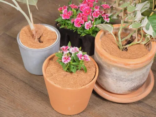 Miniatura 3 de Envelor 20 anillos de mantillo de fibras de coco, protector de árbol de 4 pulgadas, cubierta de mantillo de coco, anillos de control de malezas