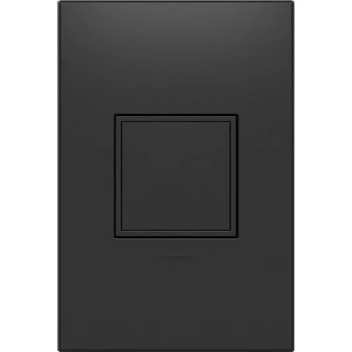 Legrand adorne ARPTR151GG2WP - Toma de corriente emergente de 1 banda de 15 amperios en grafito con placa de pared a juego, ARPTR151GG2WP