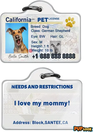 Miniatura 4 de Etiquetas de perro personalizadas para mascotas Personalizadas para mascotas Etiquetas de perro de silicona Etiqueta de perro especial Etiqueta