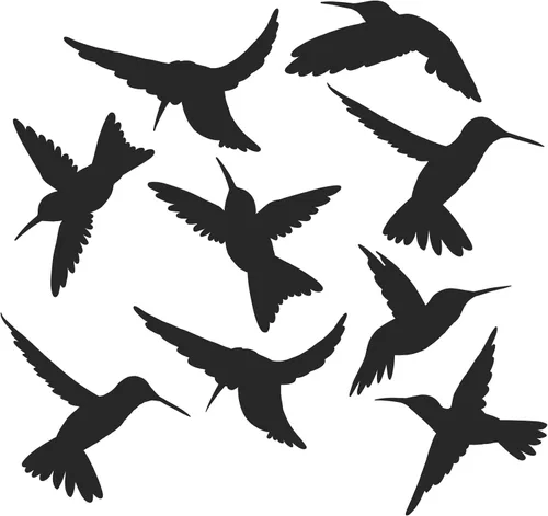 Miniatura 11 de 12 adhesivos para ventanas de colibrí para seguridad de vidrio en ventanas, puertas y paneles transparentes. Calcomanías de ventana para evitar