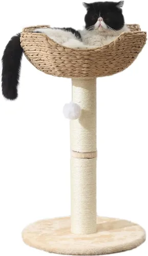 SHENGOCASE Torre pequeña para gatos con cesta grande de mimbre de ratán de 17.7", cesta nido tejida a mano, percha de ventana para gatos grandes de