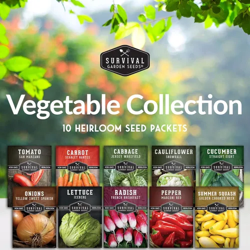 Miniatura 2 de Semillas de verduras para plantar paquete de 10 variedades – Paquetes de semillas de jardín autóctonas para cultivar tomate, lechuga, cebolla
