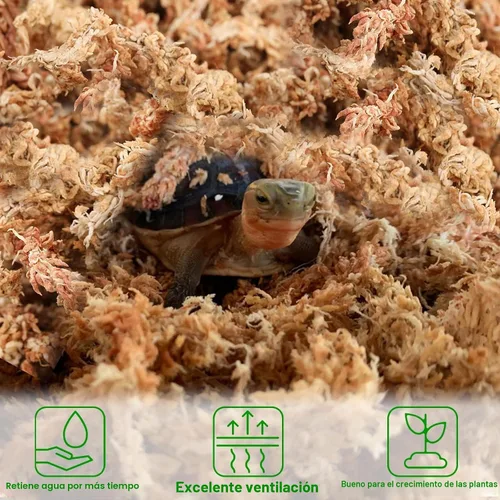 Miniatura 6 de Halatool Musgo esfagnum prémium de 3.6 onzas para plantas de interior, mezcla para macetas de musgo de orquídea de 4 cuartos de galón, musgo