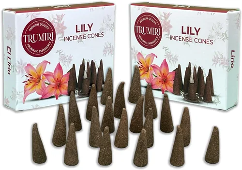Miniatura 49 de TRUMIRI Incienso ámbar – Paquete de 20 conos (2 x 10) – Incienso de cono perfumado