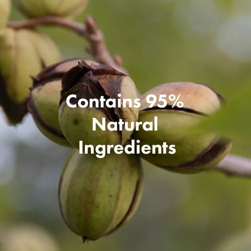 Miniatura 5 de RATED GREEN Real Argan Repairing Travel Size Shampoo Ingrediente orgánico prensado en frío y complejo de 13 péptidos Para cabello quebradizo