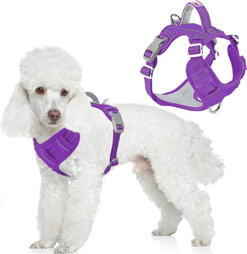 Miniatura 11 de BARKBAY Arnés para perro sin tirones con bolsillo para etiqueta de identificación, resistente, reflectante, fácil control para perros grandes