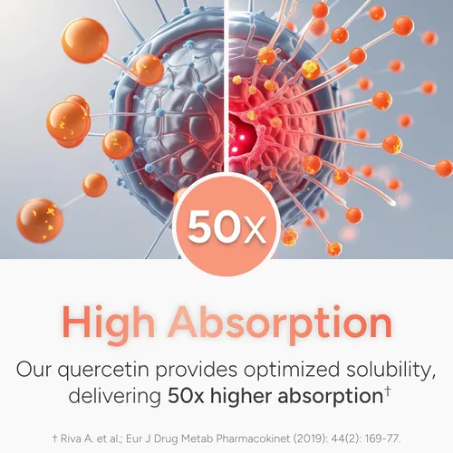 Miniatura 4 de Quercetina de alta absorción con bromelina, vitamina C y zinc – 500 mg de fitosoma de quercetina – 50 veces más absorción – Apoya la función inmune
