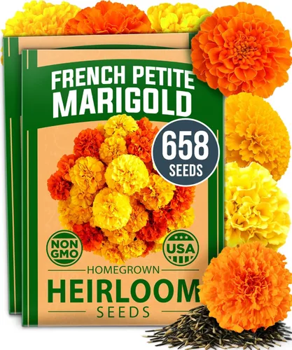 Miniatura 72 de HOME GROWN Mezcla de semillas germinantes de primera calidad, microgreens 118,200 semillas para cultivo en interiores, brócoli, alfalfa, rábano