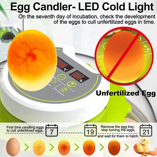 Miniatura 2 de Incubadoras DEZHXHE para incubar huevos, incubadora de huevos de gallina con giro automático de huevos, control de temperatura y pantalla