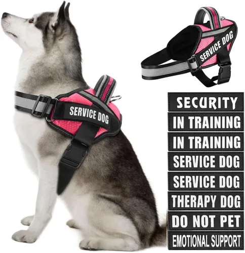 Miniatura 32 de in Training Service - Juego de arnés y parches para perro, con 10 parches para perros, chaleco reflectante con asa para perros pequeños, medianos
