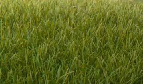 Miniatura 2 de Woodland Scenic Static Grass 0.276 in-Verde Oscuro -FS621