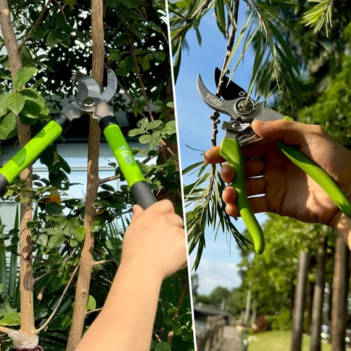Miniatura 7 de Juego de tijeras de jardín con tijeras de podar y podadoras de derivación, cortadoras de jardín ligeras para jardinería en el patio trasero, poda