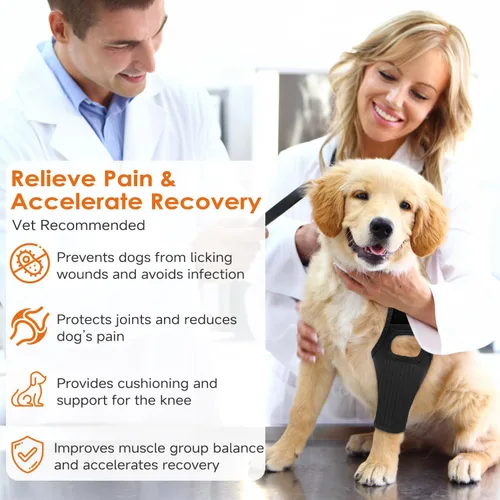 Miniatura 3 de Jorme Rodillera para perro para pierna trasera desgarrada del ligamento cruzado anterior, de neopreno transpirable con velcro ajustable y banda