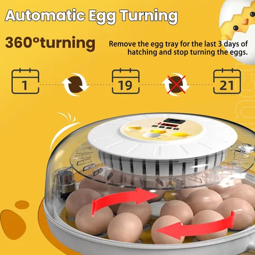 Miniatura 3 de 18 incubadoras de huevos para incubar huevos, volteador automático de huevos y probador de velas de huevos, vista de 360 grados, incubadora
