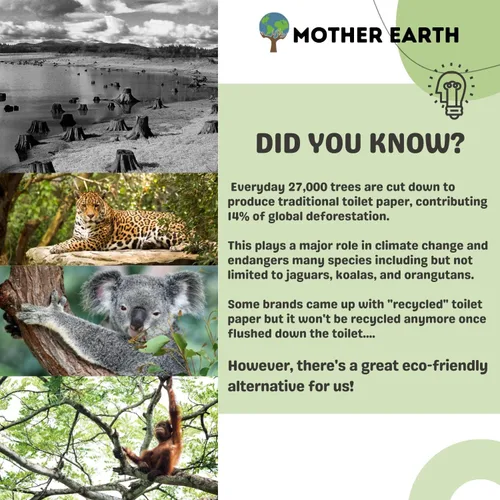 Miniatura 3 de MOTHER EARTH Papel higiénico de bambú, ultra suave y fuerte, papel de baño de 3 capas, 400 hojas por rollo, hipoalergénico y seguro para sépticos