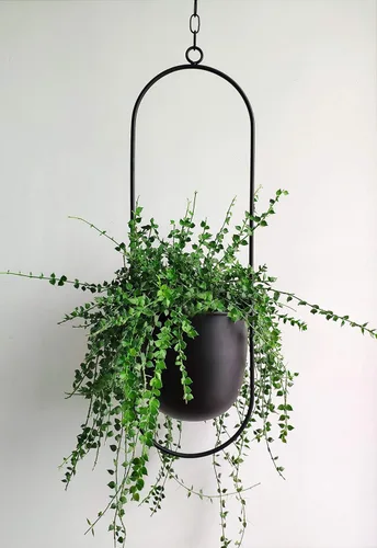 RISEON Colgador bohemio de metal negro para plantas, maceta colgante de pared y techo de metal, maceta moderna, soporte para macetas de mediados de