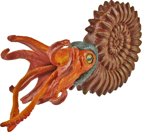 Miniatura 4 de Safari Ltd. Figura de amonita - Figura detallada de moluscos marinos de 5.25 pulgadas, juguete educativo para niños, niñas y niños a partir de 3 años