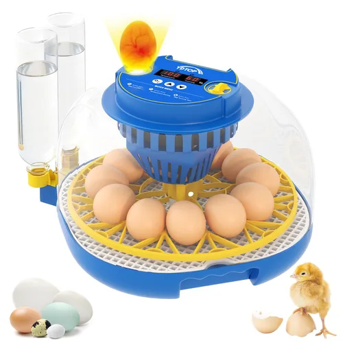 Incubadoras de huevos de gallina para incubar huevos, incubadora de 12 huevos con giro automático de huevos y control de humedad, incubadoras de