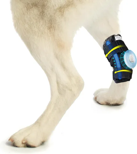 Miniatura 10 de Soporte para pierna de perro, Hock trasero y tobillo Sigle, envoltura de compresión para articulación de pierna trasera canina para desgarro ACL