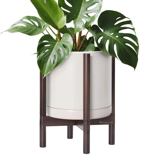 Miniatura 52 de D'vine Dev Maceta de cerámica con soporte de ébano – Maceta redonda moderna de 8 pulgadas con soporte para maceta de madera, color negro, 55-B-M-2