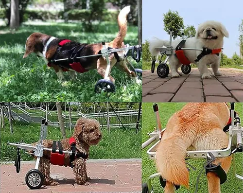 Miniatura 6 de Dog Wheelchair Red Pet Wheelchair for Back Legs, Light Weight Cat/Dog Cart with Wheels, Small/Medium/Large Doggy Mobility Assistant for Hind