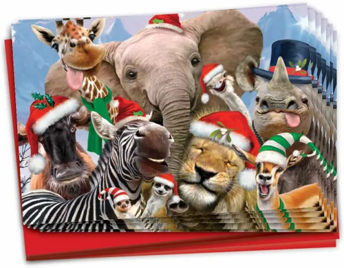 Miniatura 12 de NobleWorks Paquete a granel de 36 tarjetas de felicitación divertidas de Navidad con sobres, tarjetas divertidas en caja para perros y mujeres