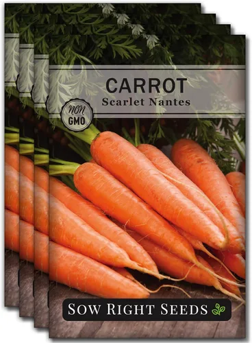 Miniatura 11 de Sow Right Seeds - Semillas de zanahoria Scarlet Nantes a granel para plantar - 0.25 oz, 5000 semillas - Paquete jumbo de reliquia sin OMG