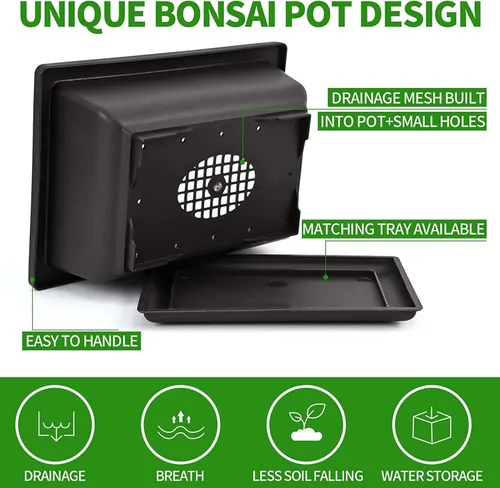 Miniatura 3 de Meekear 5 Kit de Árbol Bonsái Juego Completo de Herramientas para Cultivo de Plantas, Kit Inicial para Cultivo de Árbol Bonsái en Maceta