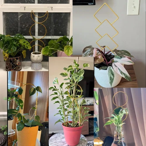 Miniatura 2 de 8 paquetes de enrejado de alambre de metal dorado para plantas en maceta, plantas trepadoras, amantes de las plantas de interior, Hoya, Pothos