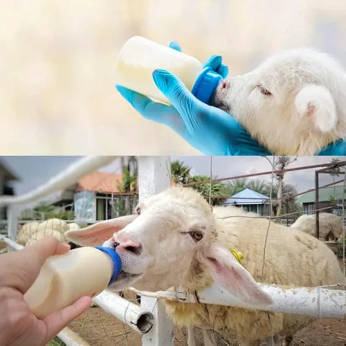 Miniatura 7 de 25 pezones de bebida de leche de vaca, silicona suave, tapa para botella de leche de cabra, alimentación para perros de oveja, cabra y cachorro, Azul