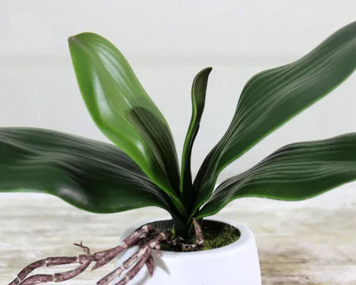 Miniatura 2 de 4 piezas de gran tamaño artificial Phalaenopsis verde simulación polilla orquídea hoja real látex tacto planta verde 5 pétalos para flores jardín